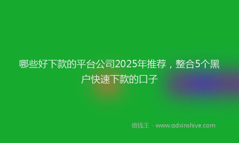哪些好下款的平台公司2025年推荐，整合5个黑户快速下款的口子