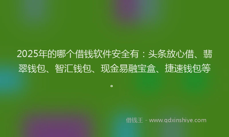 2025年的哪个借钱软件安全有：头条放心借、翡翠钱包、智汇钱包、现金易融宝盒、捷速钱包等。