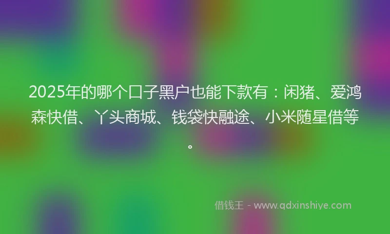 2025年的哪个口子黑户也能下款有：闲猪、爱鸿森快借、丫头商城、钱袋快融途、小米随星借等。