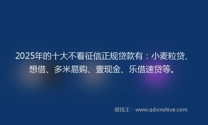 2025年的十大不看征信正规贷款有：小麦粒贷、想借、多米易购、壹现金、乐借速贷等。