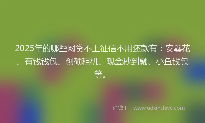 2025年的哪些网贷不上征信不用还款有：安鑫花、有钱钱包、创硕租机、现金秒到融、小鱼钱包等。