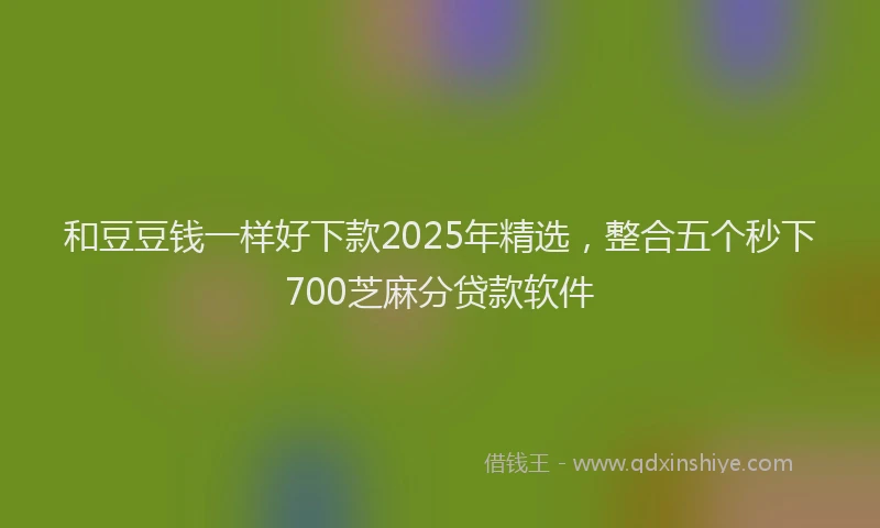 和豆豆钱一样好下款2025年精选，整合五个秒下700芝麻分贷款软件