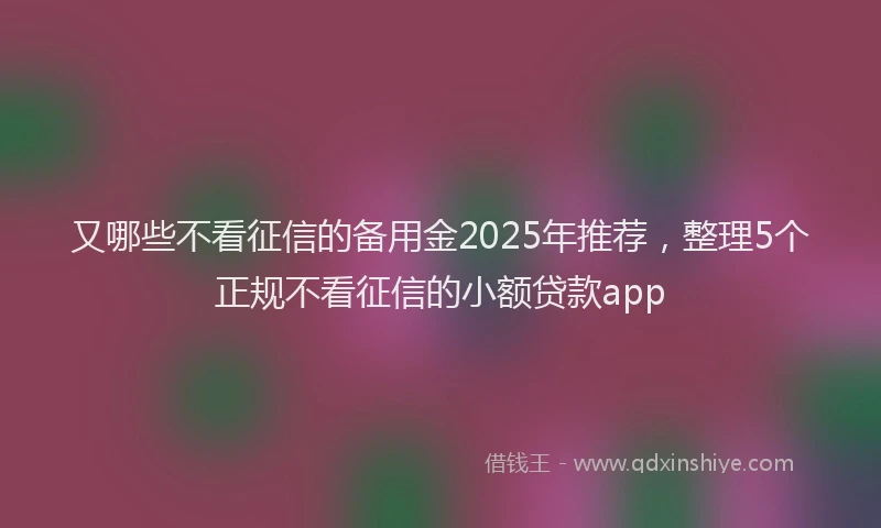 又哪些不看征信的备用金2025年推荐，整理5个正规不看征信的小额贷款app