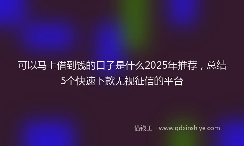 可以马上借到钱的口子是什么2025年推荐，总结5个快速下款无视征信的平台