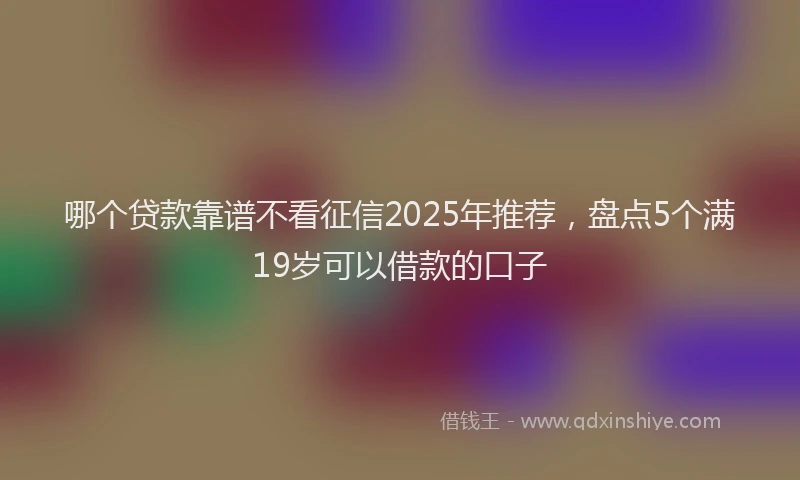 哪个贷款靠谱不看征信2025年推荐，盘点5个满19岁可以借款的口子