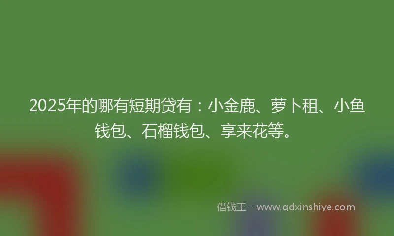 2025年的哪有短期贷有：小金鹿、萝卜租、小鱼钱包、石榴钱包、享来花等。