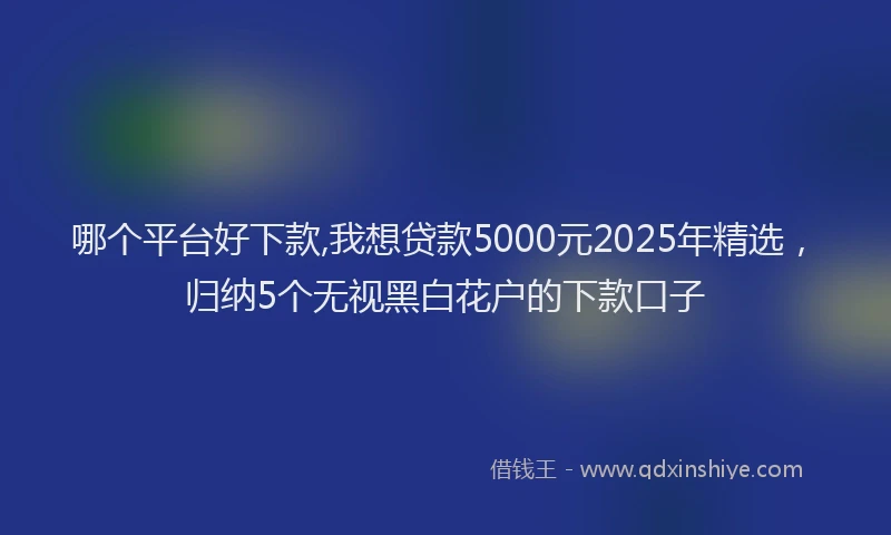 哪个平台好下款,我想贷款5000元2025年精选，归纳5个无视黑白花户的下款口子