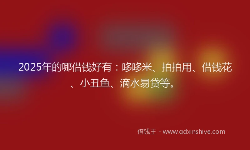 2025年的哪借钱好有：哆哆米、拍拍用、借钱花、小丑鱼、滴水易贷等。