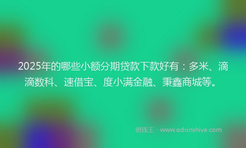 2025年的哪些小额分期贷款下款好有：多米、滴滴数科、速借宝、度小满金融、秉鑫商城等。