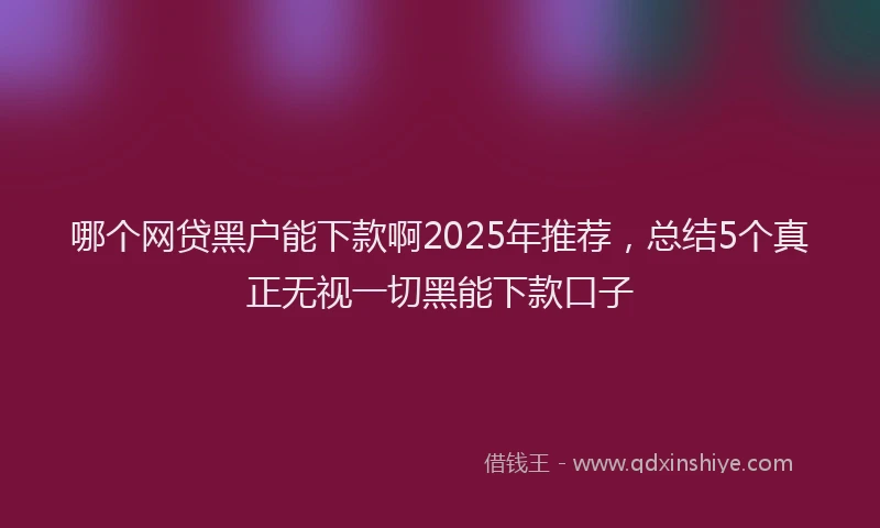 哪个网贷黑户能下款啊2025年推荐，总结5个真正无视一切黑能下款口子