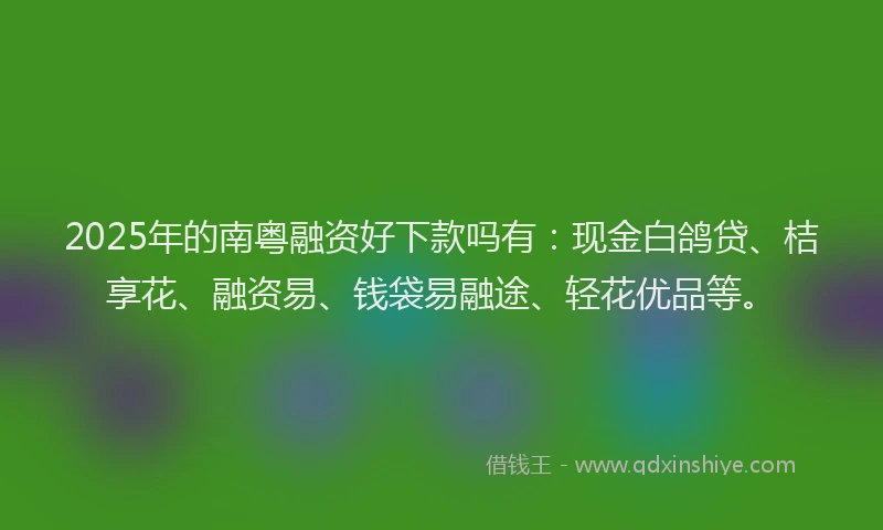 2025年的南粤融资好下款吗有：现金白鸽贷、桔享花、融资易、钱袋易融途、轻花优品等。
