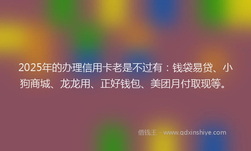 2025年的办理信用卡老是不过有：钱袋易贷、小狗商城、龙龙用、正好钱包、美团月付取现等。