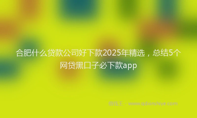 合肥什么贷款公司好下款2025年精选，总结5个网贷黑口子必下款app