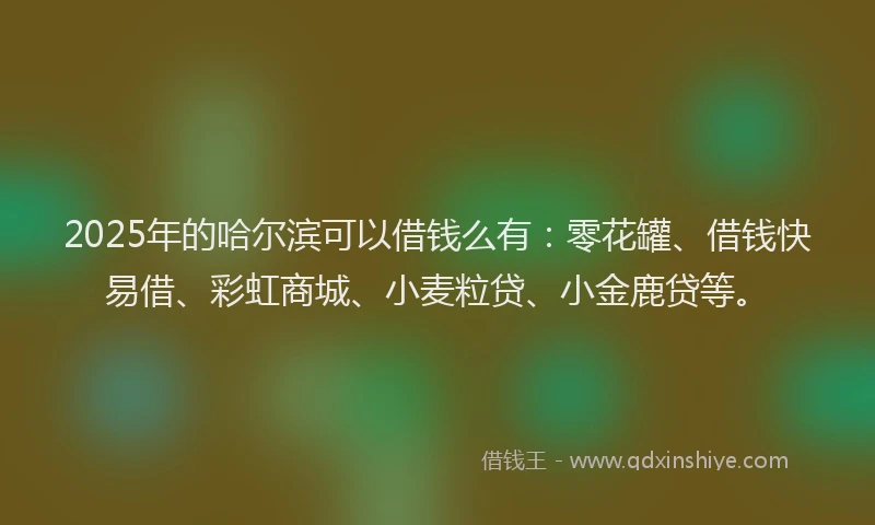 2025年的哈尔滨可以借钱么有：零花罐、借钱快易借、彩虹商城、小麦粒贷、小金鹿贷等。