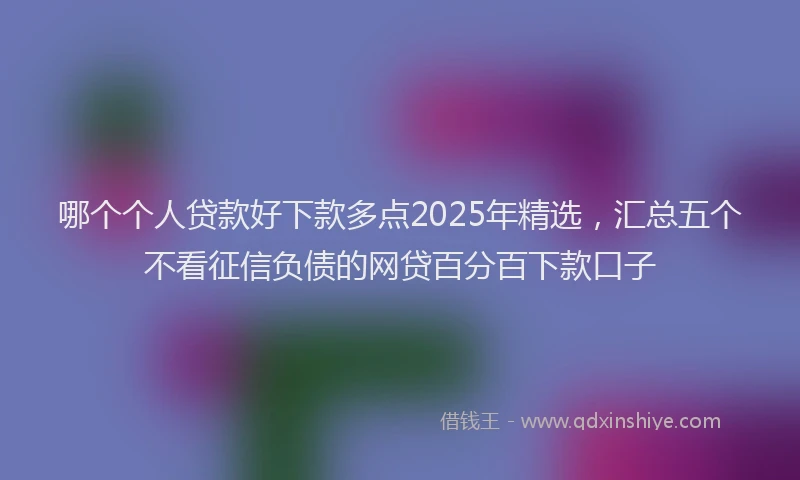 哪个个人贷款好下款多点2025年精选，汇总五个不看征信负债的网贷百分百下款口子