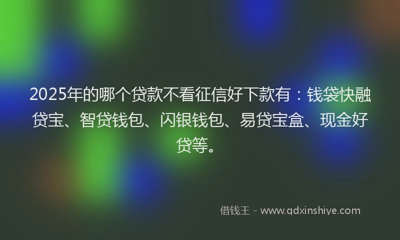 2025年的哪个贷款不看征信好下款有：钱袋快融贷宝、智贷钱包、闪银钱包、易贷宝盒、现金好贷等。