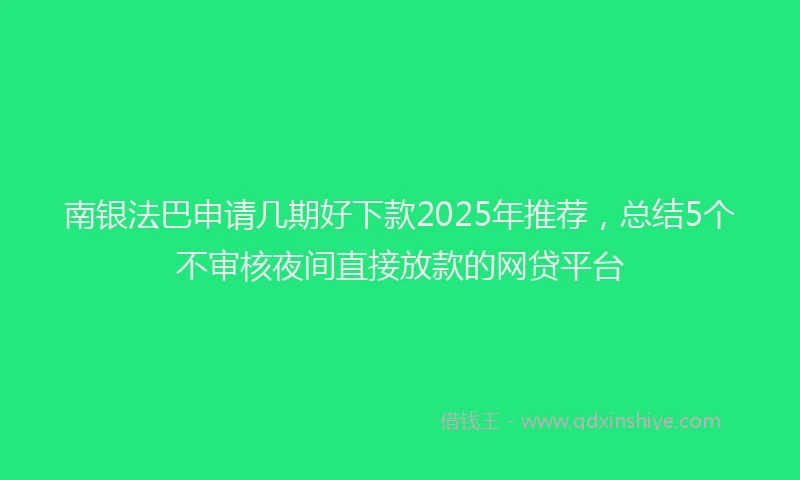 南银法巴申请几期好下款2025年推荐，总结5个不审核夜间直接放款的网贷平台