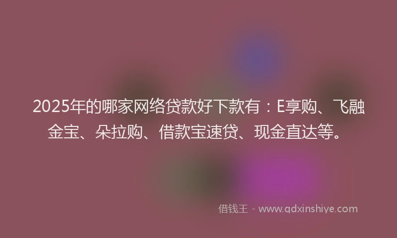 2025年的哪家网络贷款好下款有：E享购、飞融金宝、朵拉购、借款宝速贷、现金直达等。