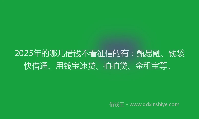 2025年的哪儿借钱不看征信的有：甄易融、钱袋快借通、用钱宝速贷、拍拍贷、金租宝等。