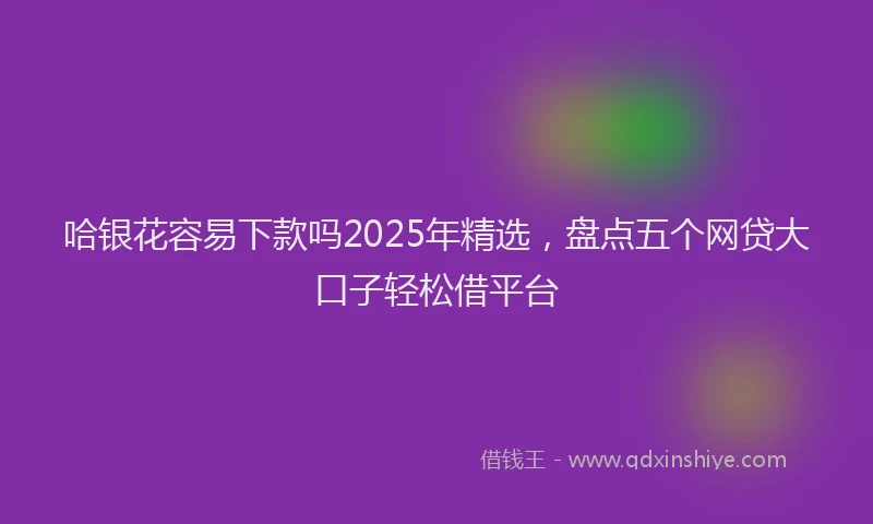 哈银花容易下款吗2025年精选，盘点五个网贷大口子轻松借平台