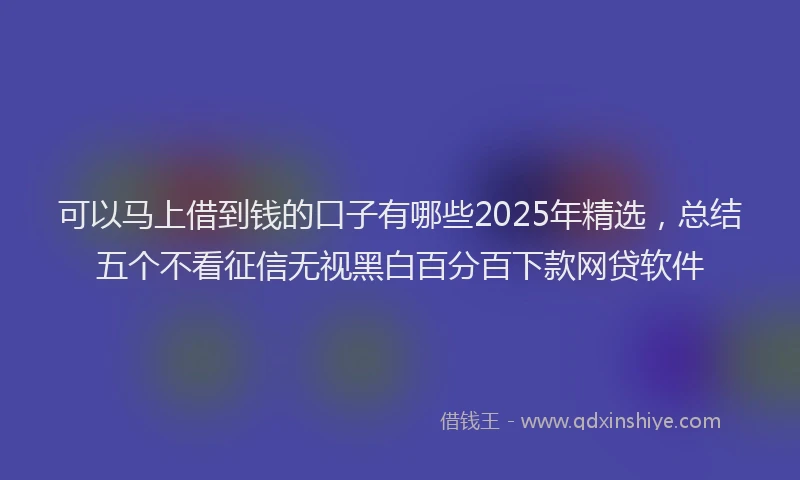 可以马上借到钱的口子有哪些2025年精选，总结五个不看征信无视黑白百分百下款网贷软件