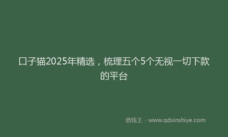 口子猫2025年精选，梳理五个5个无视一切下款的平台