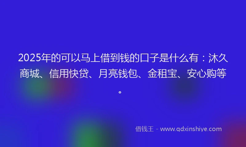 2025年的可以马上借到钱的口子是什么有：沐久商城、信用快贷、月亮钱包、金租宝、安心购等。