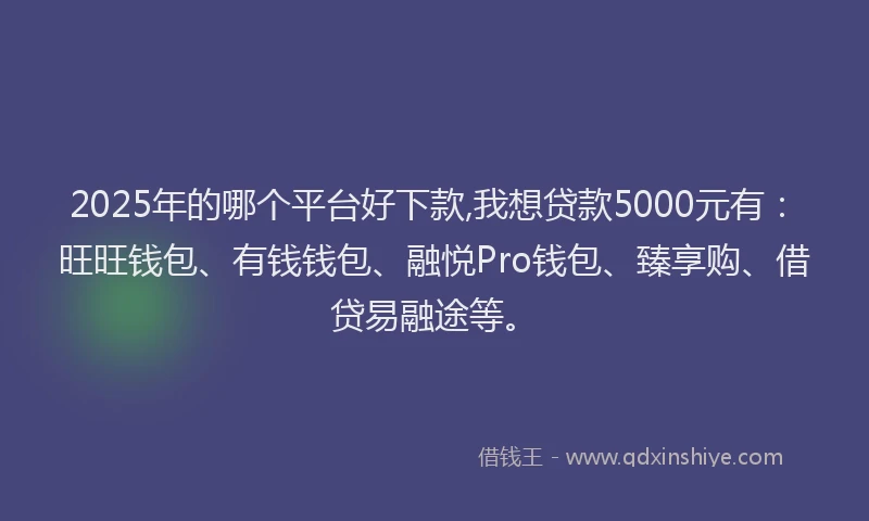 2025年的哪个平台好下款,我想贷款5000元有：旺旺钱包、有钱钱包、融悦Pro钱包、臻享购、借贷易融途等。