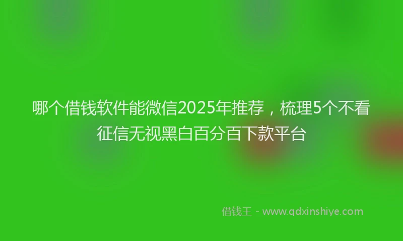 哪个借钱软件能微信2025年推荐，梳理5个不看征信无视黑白百分百下款平台