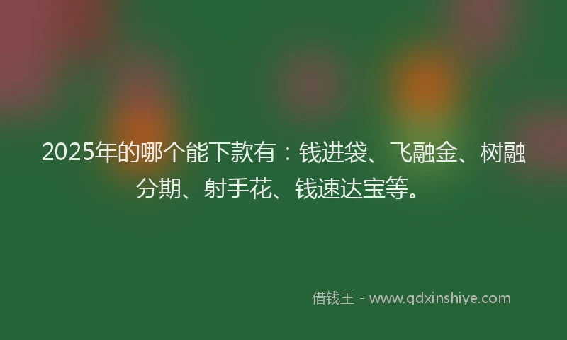 2025年的哪个能下款有：钱进袋、飞融金、树融分期、射手花、钱速达宝等。