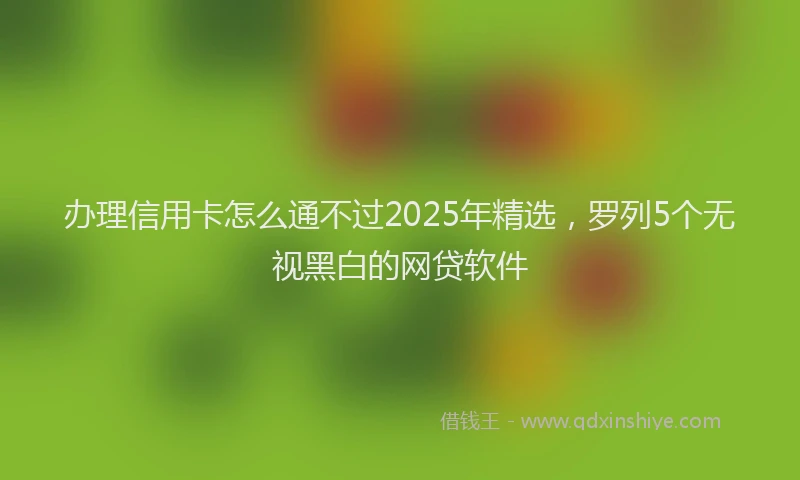 办理信用卡怎么通不过2025年精选，罗列5个无视黑白的网贷软件