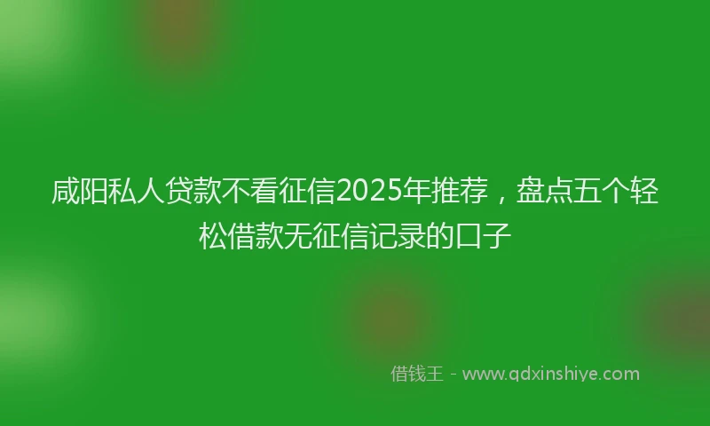 咸阳私人贷款不看征信2025年推荐，盘点五个轻松借款无征信记录的口子