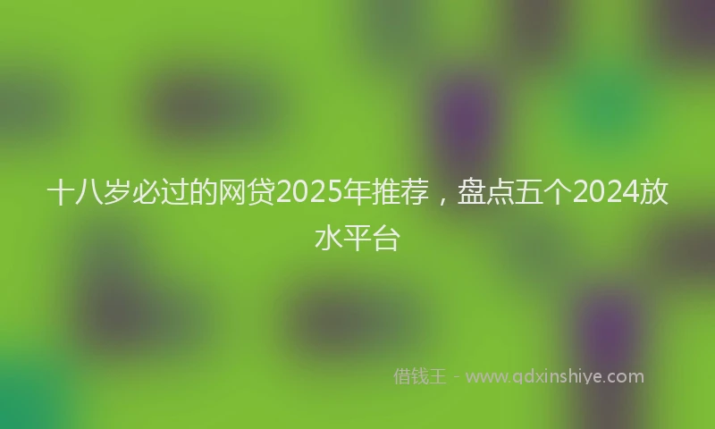 十八岁必过的网贷2025年推荐，盘点五个2024放水平台