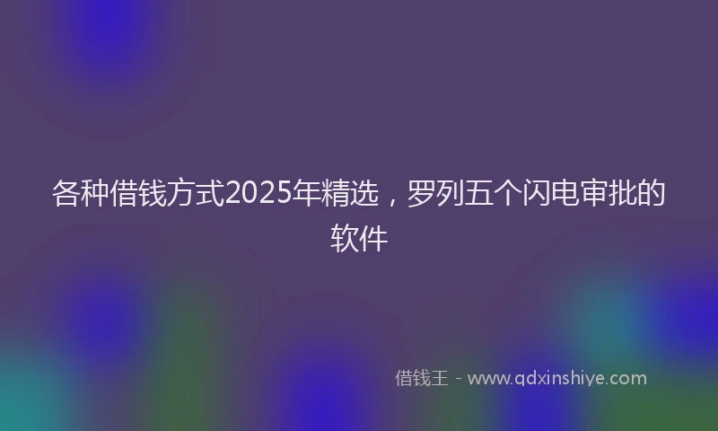 各种借钱方式2025年精选，罗列五个闪电审批的软件