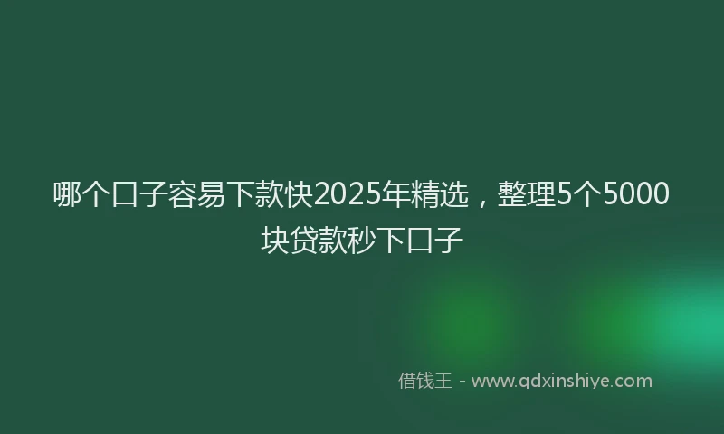 哪个口子容易下款快2025年精选，整理5个5000块贷款秒下口子