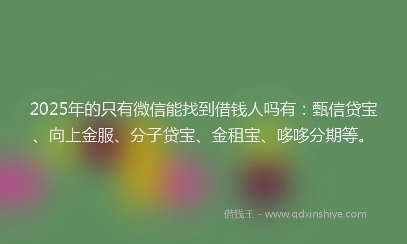 2025年的只有微信能找到借钱人吗有：甄信贷宝、向上金服、分子贷宝、金租宝、哆哆分期等。