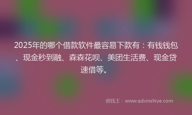 2025年的哪个借款软件最容易下款有：有钱钱包、现金秒到融、森森花呗、美团生活费、现金贷速借等。
