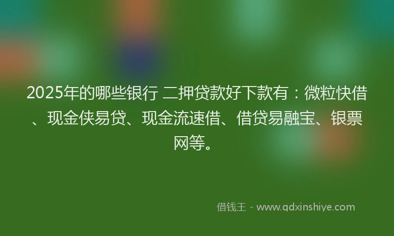 2025年的哪些银行 二押贷款好下款有：微粒快借、现金侠易贷、现金流速借、借贷易融宝、银票网等。