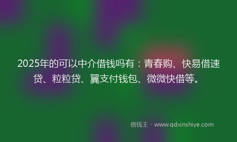 2025年的可以中介借钱吗有：青春购、快易借速贷、粒粒贷、翼支付钱包、微微快借等。