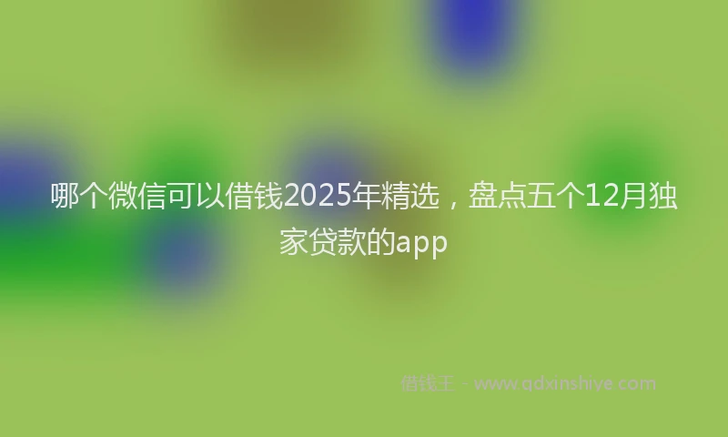 哪个微信可以借钱2025年精选，盘点五个12月独家贷款的app