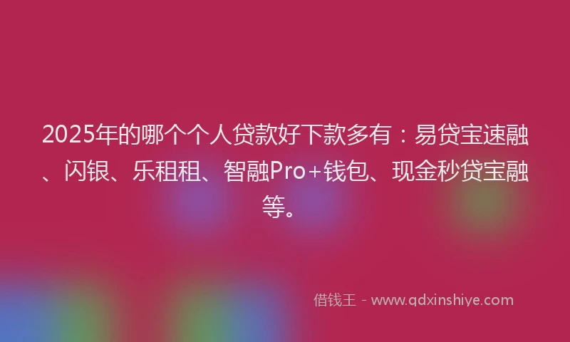 2025年的哪个个人贷款好下款多有：易贷宝速融、闪银、乐租租、智融Pro+钱包、现金秒贷宝融等。