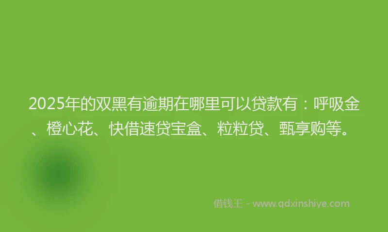 2025年的双黑有逾期在哪里可以贷款有：呼吸金、橙心花、快借速贷宝盒、粒粒贷、甄享购等。