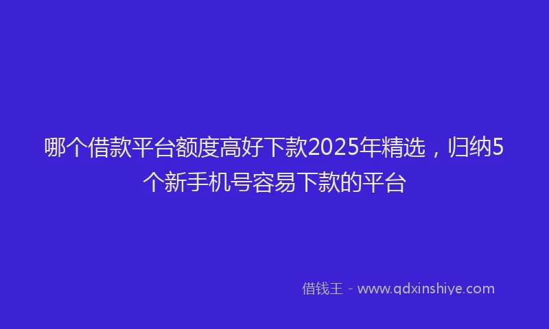 哪个借款平台额度高好下款2025年精选，归纳5个新手机号容易下款的平台
