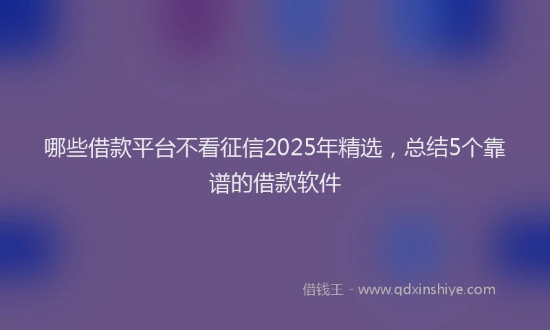 哪些借款平台不看征信2025年精选，总结5个靠谱的借款软件
