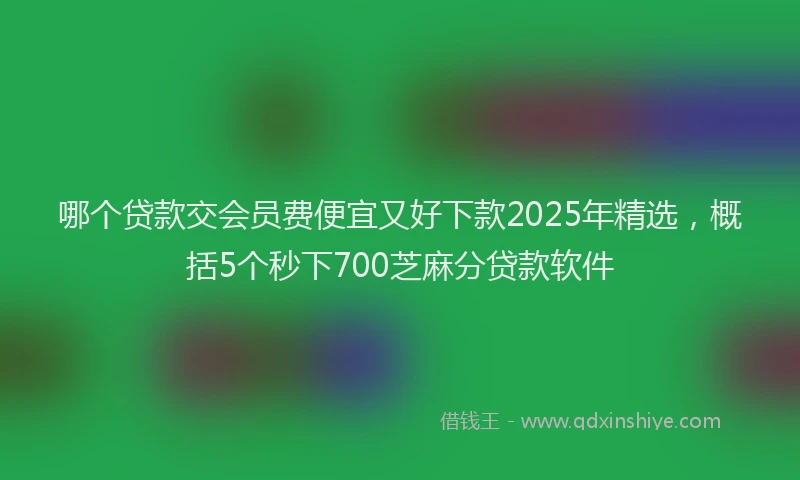 哪个贷款交会员费便宜又好下款2025年精选，概括5个秒下700芝麻分贷款软件