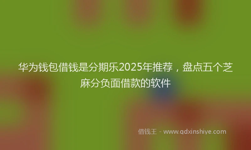 华为钱包借钱是分期乐2025年推荐，盘点五个芝麻分负面借款的软件