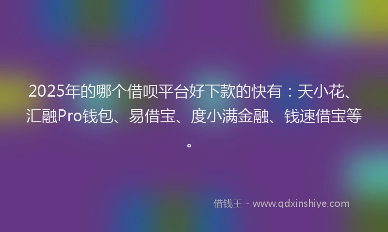 2025年的哪个借呗平台好下款的快有：天小花、汇融Pro钱包、易借宝、度小满金融、钱速借宝等。