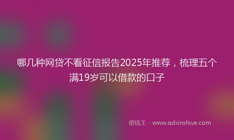 哪几种网贷不看征信报告2025年推荐，梳理五个满19岁可以借款的口子