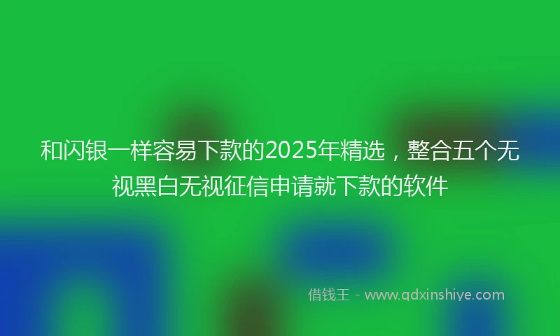 和闪银一样容易下款的2025年精选，整合五个无视黑白无视征信申请就下款的软件