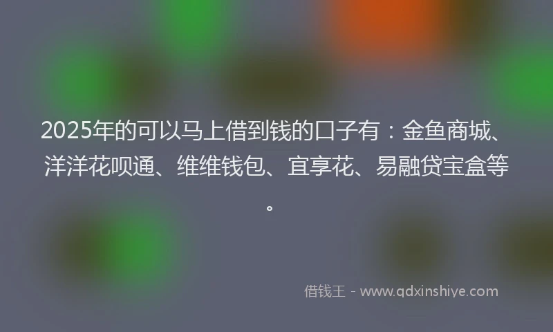 2025年的可以马上借到钱的口子有：金鱼商城、洋洋花呗通、维维钱包、宜享花、易融贷宝盒等。